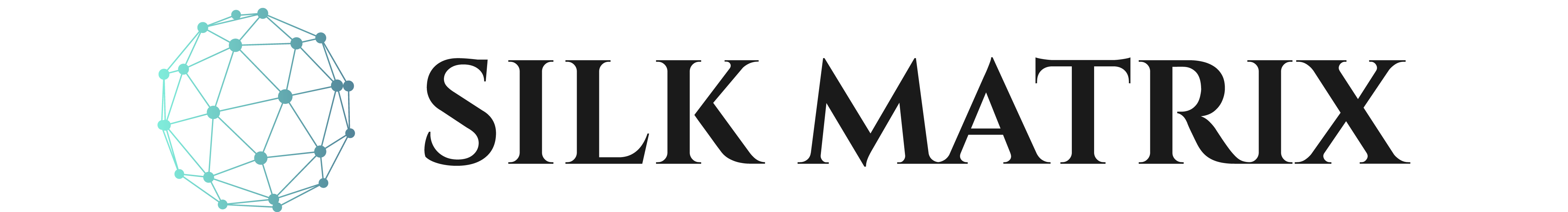 Silk Matrix Logo header